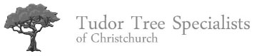 Tudor Tree Specialists